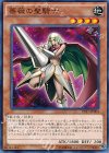 PP17-JP004 薔薇の聖騎士