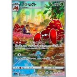 072/071 CHR パラセクト