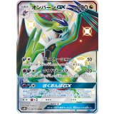 241/150 SSR オンバーンGX