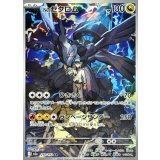 210/193 AR Nのゼクロム