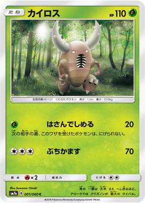 PK-SM7A-001 カイロス C