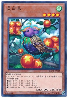 星向鳥 DANE-JP024