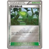 巨大植物の森(ミラー)【-】{127/131} [CP4]