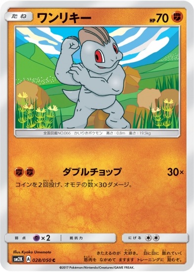 PK-SM2K-028 ワンリキー C
