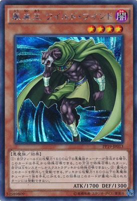 PP19-JP013 風来王 ワイルド・ワインド