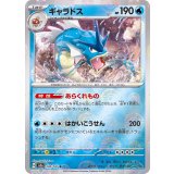 130/165 R ギャラドス