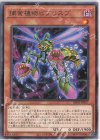 捕食植物ビブリスプ DIFO-JP017