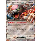 052/066 RR ガチグマアカツキex