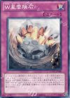 Ｗ星雲隕石 EXVC-JP080