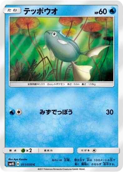 PK-SM4S-011 テッポウオ C