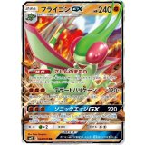044/095 RR フライゴンGX