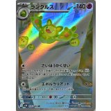 125/086 AR ランクルス
