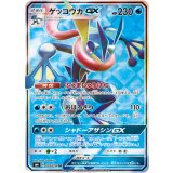 PK-SM6-095 ゲッコウガGX SR