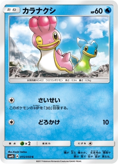 PK-SM4S-015 カラナクシ C