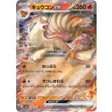 038/165 RR キュウコンex