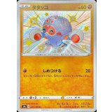 PK-S4a-271 タタッコ S