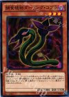 捕食植物ダーリング・コブラ MACR-JP010