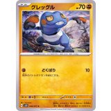 PK-SV2D-040 グレッグル C