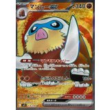 116/100 SR マンムーex