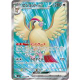 128/108 SR ピジョットex