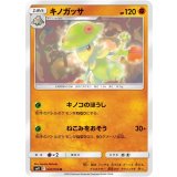 PK-SM11-047 キノガッサ U