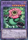 捕食植物キメラフレシア [LVP3-JP072]