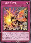 武装竜の万雷 BLVO-JP067