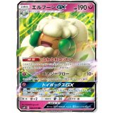 PK-SM10-066 エルフーンGX RR