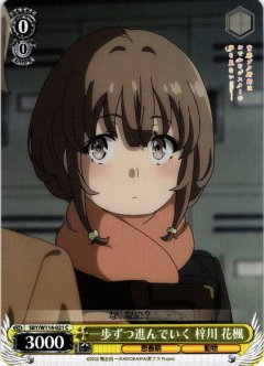 届いた想い[WS_SBY/W114-098U]