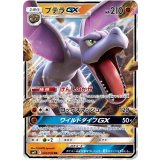 045/094 RR プテラGX