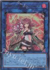 灼熱の火霊使いヒータ [QCCU-JP187]
