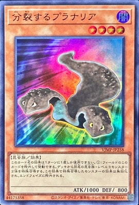 分裂するプラナリア Ｖジャンプ [VJMP-JP258]