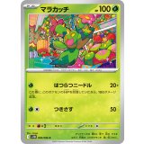 PK-SV11B-008 マラカッチ C