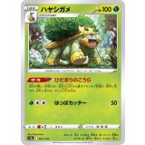 PK-S12a-007 ハヤシガメ