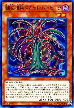 捕食植物スキッド・ドロセーラ INOV-JP008