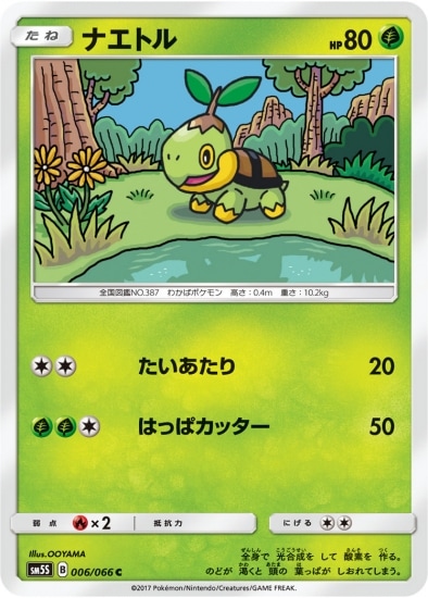 PK-SM5S-006 ナエトル C