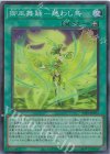 御巫舞踊−迷わし鳥 TTP1-JP071