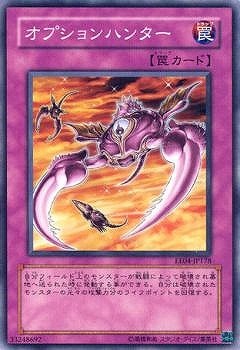 オプションハンター EE04-JP178