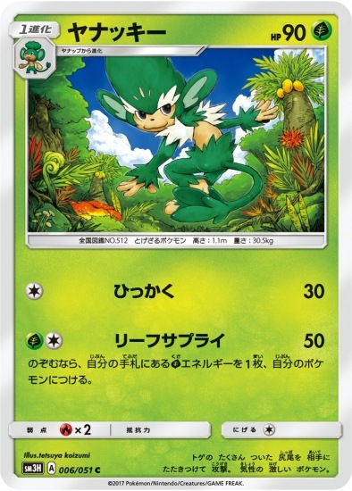 PK-SM3H-006 ヤナッキー C