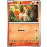 PK-SVI-007 ポニータ