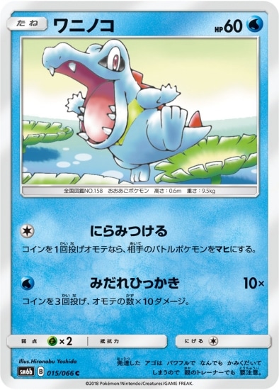 PK-SM6B-015 ワニノコ C