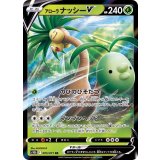 PK-S10b-005 アローラナッシーV RR