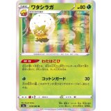 PK-S6a-010 ワタシラガ R
