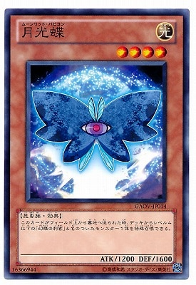 月光蝶 GAOV-JP014