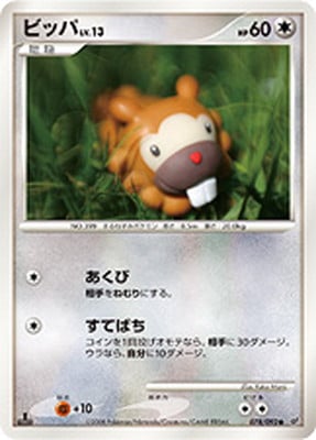 PK-DP6-078 ビッパ ●