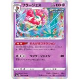 PK-S6a-039 フラージェス R