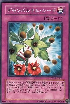 デモンバルサム・シード PTDN-JP065
