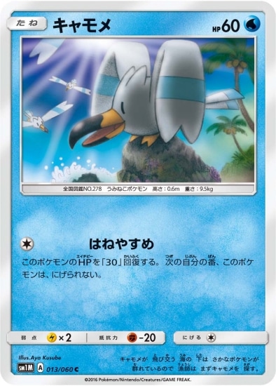 PK-SM1M-013 キャモメ C