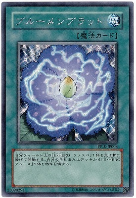 PP10-JP008 SE ブルーメンブラット