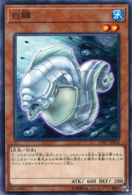 ホワイト・モーレイ CP17-JP018